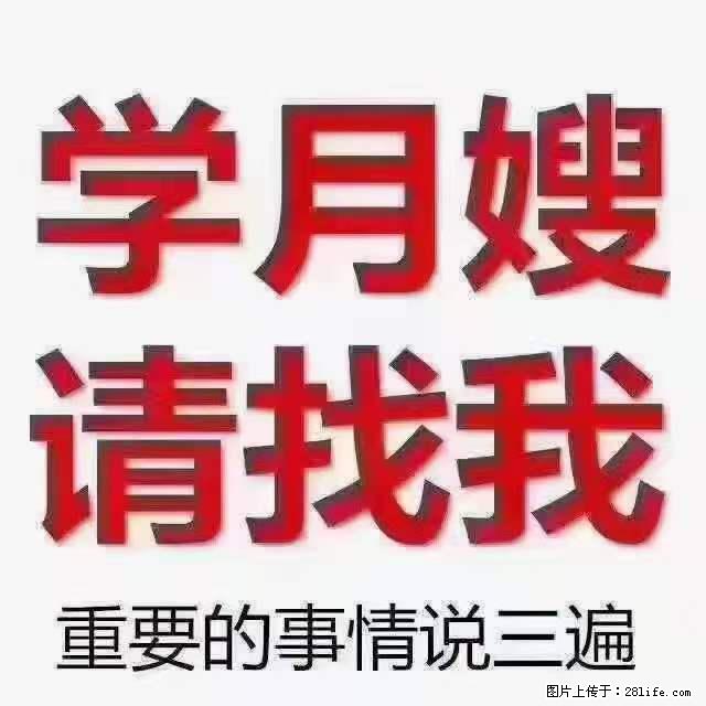 为什么要学习月嫂，育婴师？ - 其他广告 - 广告专区 - 汕头分类信息 - 汕头28生活网 st.28life.net