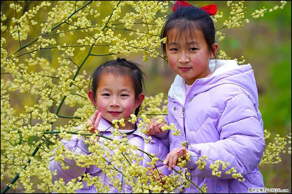 【春天，广西桂林灌阳县向您发出邀请！】米珠山前有片山苍子花在飘香 - 游山玩水 - 汕头生活社区 - 汕头28生活网 st.28life.net
