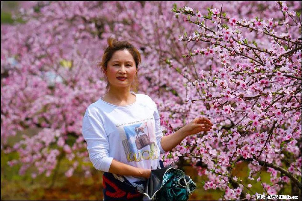 【春天，广西桂林灌阳县向您发出邀请！】官庄村有个醉美的桃花园 - 游山玩水 - 汕头生活社区 - 汕头28生活网 st.28life.net