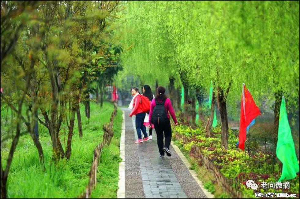 【春天，广西桂林灌阳县向您发出邀请！】江口老街又逢春 - 游山玩水 - 汕头生活社区 - 汕头28生活网 st.28life.net