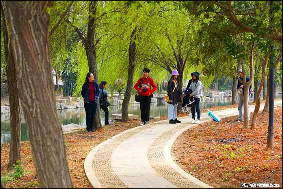 【春天，广西桂林灌阳县向您发出邀请！】江口老街又逢春 - 游山玩水 - 汕头生活社区 - 汕头28生活网 st.28life.net