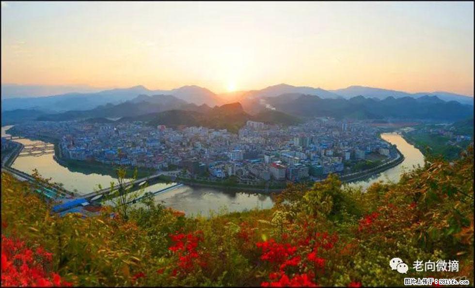 【春天，广西桂林灌阳县向您发出邀请！】登麒麟山，相约映山红 - 游山玩水 - 汕头生活社区 - 汕头28生活网 st.28life.net