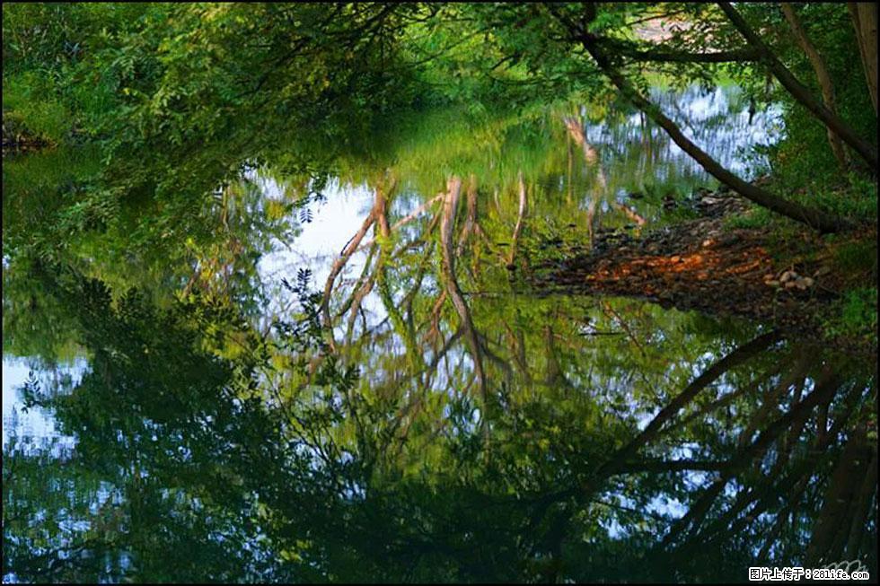 【春天，广西桂林灌阳县向您发出邀请！】熊家寨湿地公园 - 游山玩水 - 汕头生活社区 - 汕头28生活网 st.28life.net
