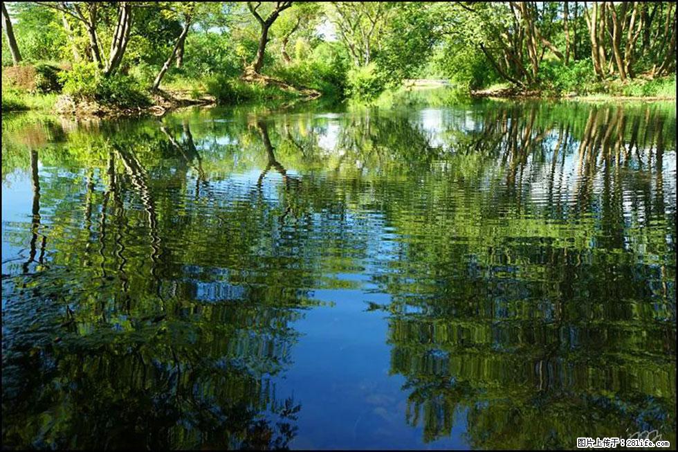 【春天，广西桂林灌阳县向您发出邀请！】熊家寨湿地公园 - 游山玩水 - 汕头生活社区 - 汕头28生活网 st.28life.net
