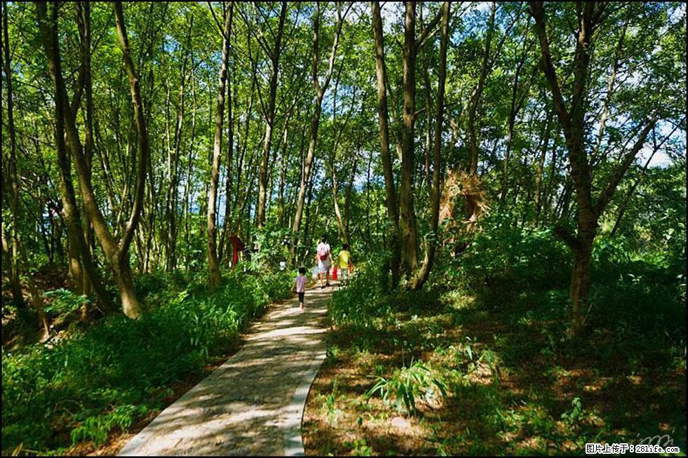 【春天，广西桂林灌阳县向您发出邀请！】熊家寨湿地公园 - 游山玩水 - 汕头生活社区 - 汕头28生活网 st.28life.net