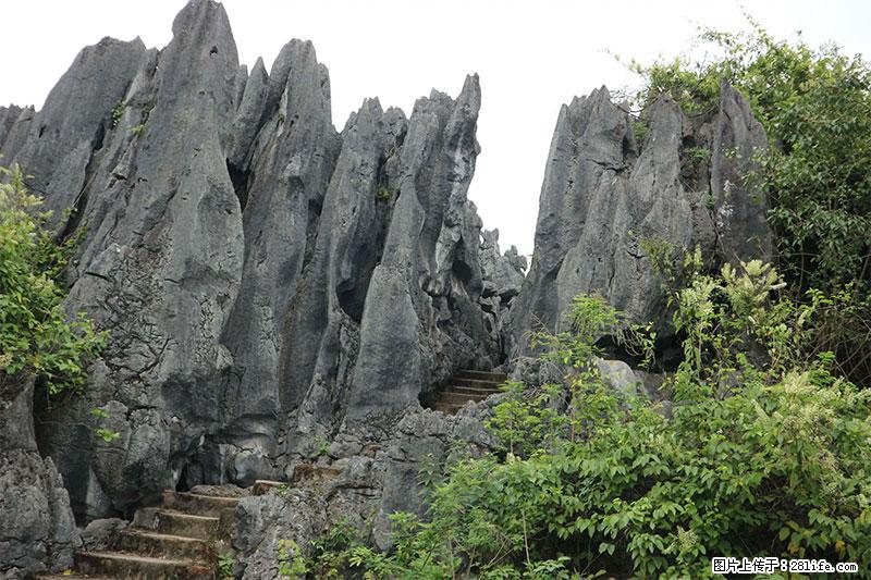 桂林旅游名城景点：灌阳文市石林 - 游山玩水 - 汕头生活社区 - 汕头28生活网 st.28life.net