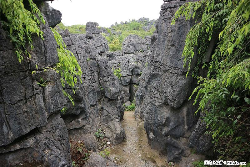 桂林旅游名城景点：灌阳文市石林 - 游山玩水 - 汕头生活社区 - 汕头28生活网 st.28life.net