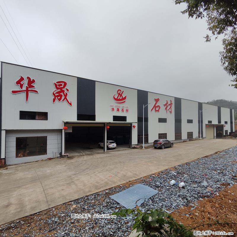 【广西华晟黑白根生产基地】shicai188.julong5.com 专业供应黑白根、广西白、金镶玉 - 新手上路 - 汕头生活社区 - 汕头28生活网 st.28life.net