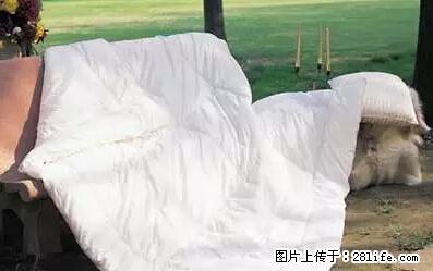 被子有异味？只要这样做，比晒太阳还强100倍！ - 家居生活 - 汕头生活社区 - 汕头28生活网 st.28life.net