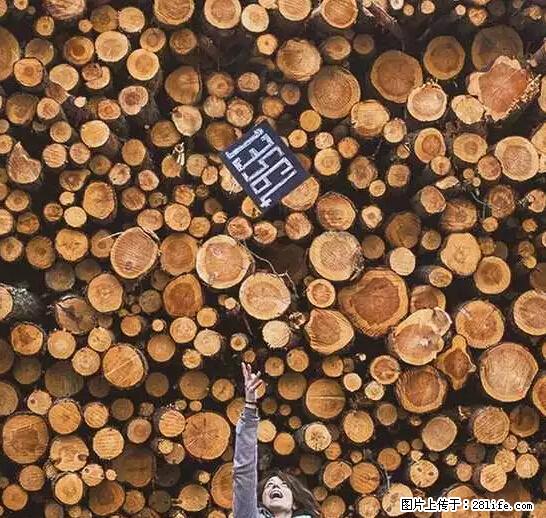 辞掉工作周游世界？现在他们在洗厕所…… - 游山玩水 - 汕头生活社区 - 汕头28生活网 st.28life.net