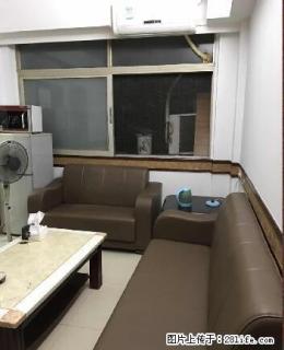 月季园 1房1厅 业主近期新装修 未租过 全新家具家电 有钥 - 汕头28生活网 st.28life.net