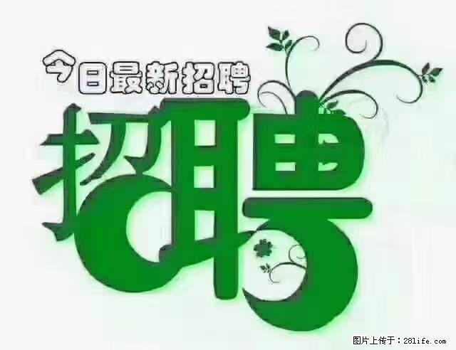 【招聘摄像师】待遇：试用期6000元/月，转正7000元/月+五险一金+餐补+节日福利+奖金 - 其他招聘信息 - 招聘求职 - 汕头分类信息 - 汕头28生活网 st.28life.net