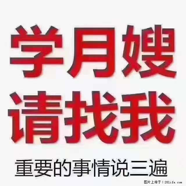【招聘】月嫂，上海徐汇区 - 职场交流 - 汕头生活社区 - 汕头28生活网 st.28life.net