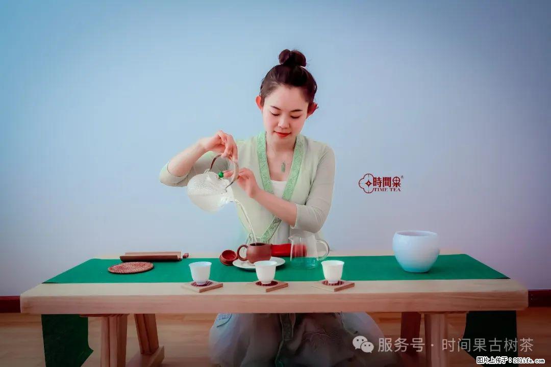 时间果百年古树龙珠普洱生茶 - 购物交流 - 汕头生活社区 - 汕头28生活网 st.28life.net