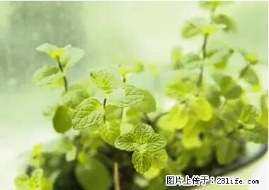 晕车、脚气、牙齿变黄、皮肤粗糙？学会这些三分钟搞定！ - 汕头生活资讯 - 汕头28生活网 st.28life.net