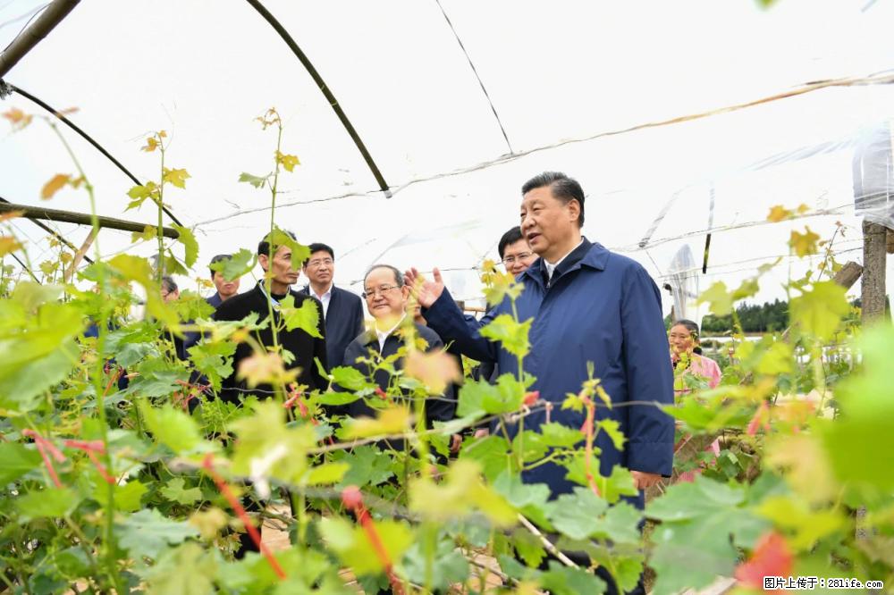习近平赴广西考察调研 - 汕头生活资讯 - 汕头28生活网 st.28life.net