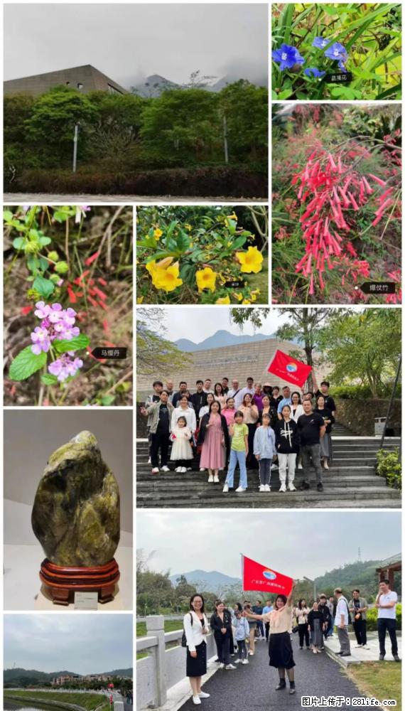 “粤灌文化 美好生活”油茶文化主题活动在广东深圳成功举办 - 汕头生活资讯 - 汕头28生活网 st.28life.net