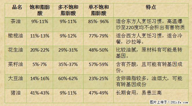揭秘茶油的5大核心营养成分！被称为人体健康的“守护盾”！ - 汕头生活资讯 - 汕头28生活网 st.28life.net