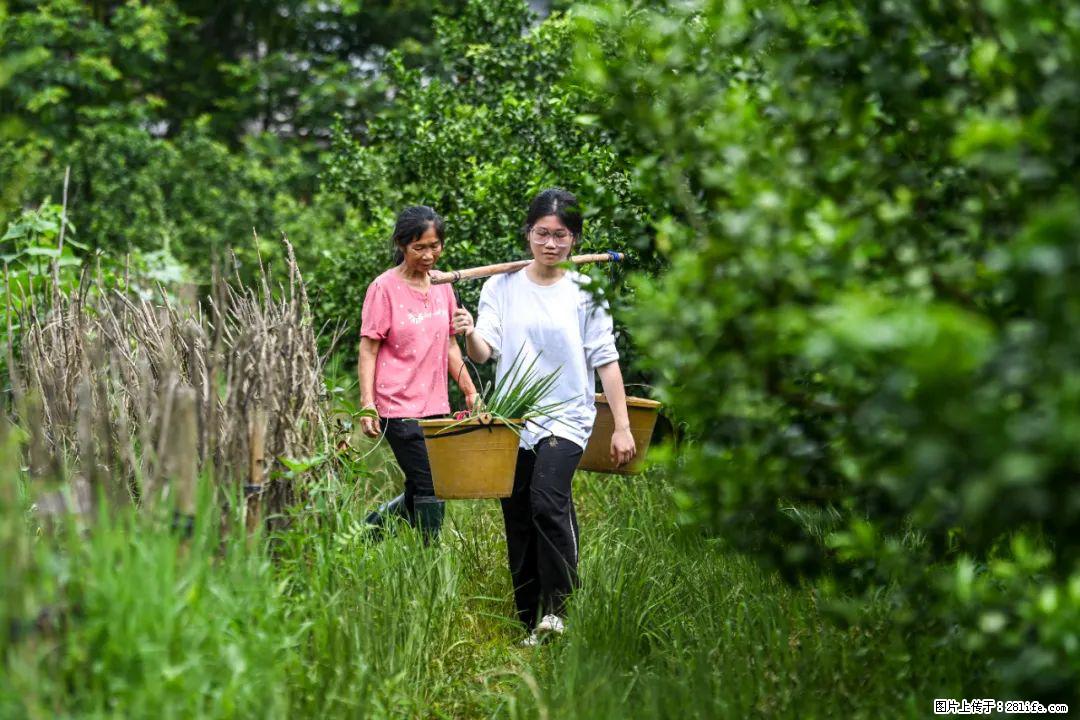 全网追的“扁担女孩”，找了一份暑假工，时薪12元 - 汕头生活资讯 - 汕头28生活网 st.28life.net