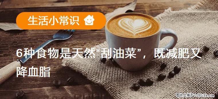 【生活小常识】6种食物是天然“刮油菜”，既减肥又降血脂 - 汕头生活资讯 - 汕头28生活网 st.28life.net