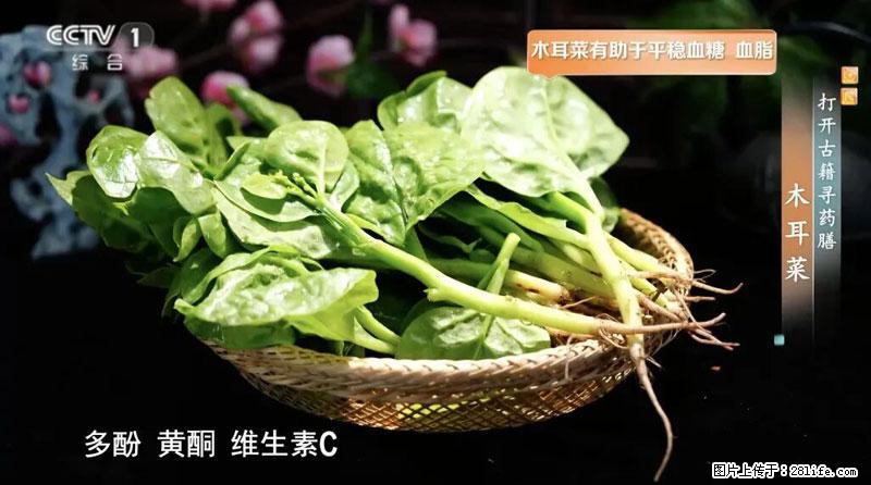 比牛奶补钙还厉害！凉血解毒、稳血糖...这菜冬天必吃，很多人却当草 - 汕头生活资讯 - 汕头28生活网 st.28life.net