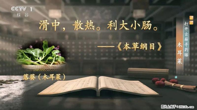 比牛奶补钙还厉害！凉血解毒、稳血糖...这菜冬天必吃，很多人却当草 - 汕头生活资讯 - 汕头28生活网 st.28life.net