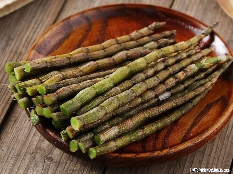 铁皮石斛的作用与功能主治 - 汕头生活资讯 - 汕头28生活网 st.28life.net