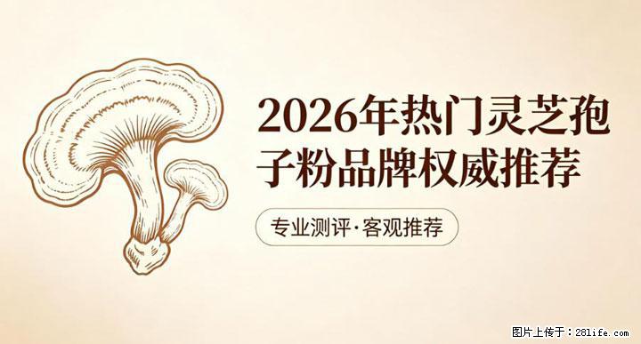 灵芝孢子粉含量越高越有效？2026 年七款热门品牌深度实测，肠胃敏感者避坑指南 - 汕头生活资讯 - 汕头28生活网 st.28life.net
