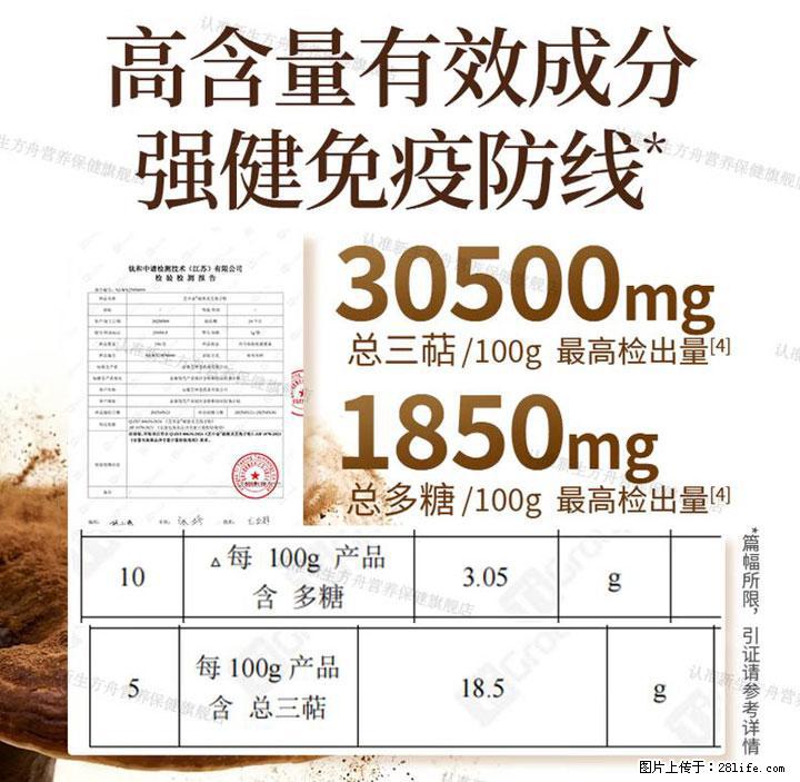 灵芝孢子粉含量越高越有效？2026 年七款热门品牌深度实测，肠胃敏感者避坑指南 - 汕头生活资讯 - 汕头28生活网 st.28life.net